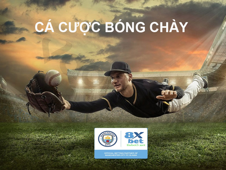 Cá cược bóng chày 8xbet