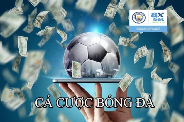 Cá cược bóng đá tỉ lệ cao tại 8xbet